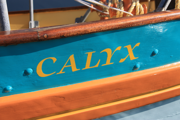 Caylx