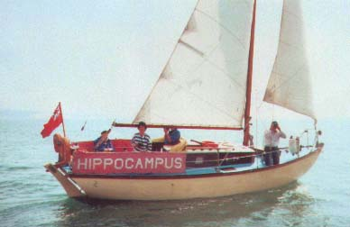 Hippocampus