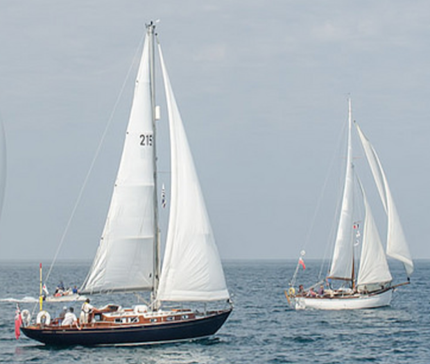 Mat Ali and Blue Saluki Racing in 2015