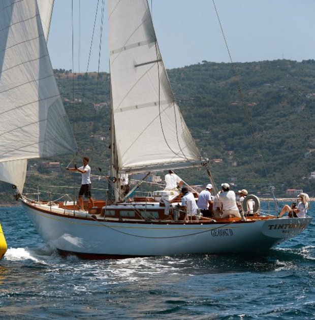 Tintoo VI